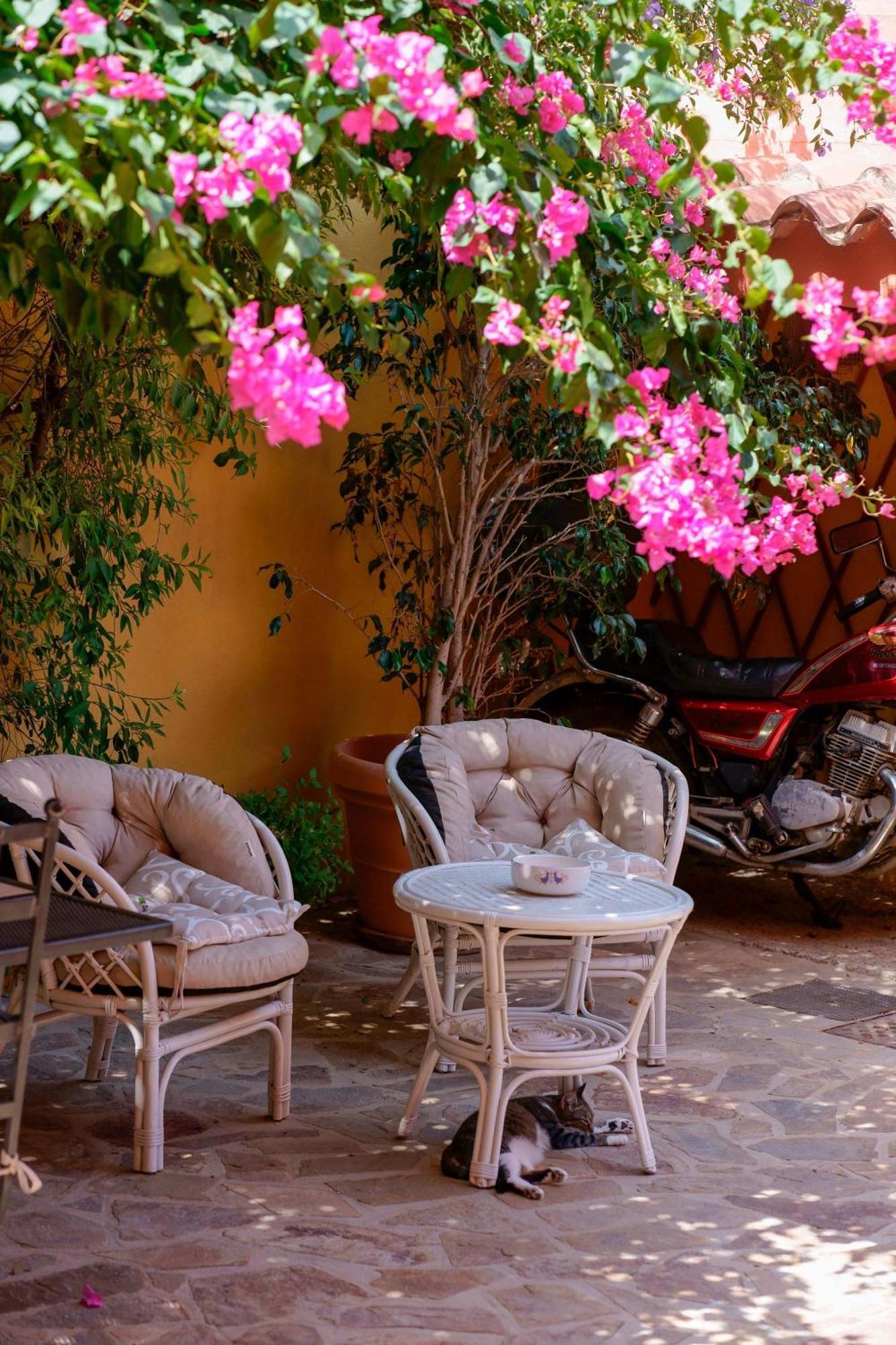 Il Piccolo Giardino Rooms & Breakfast Вилласимиус Экстерьер фото