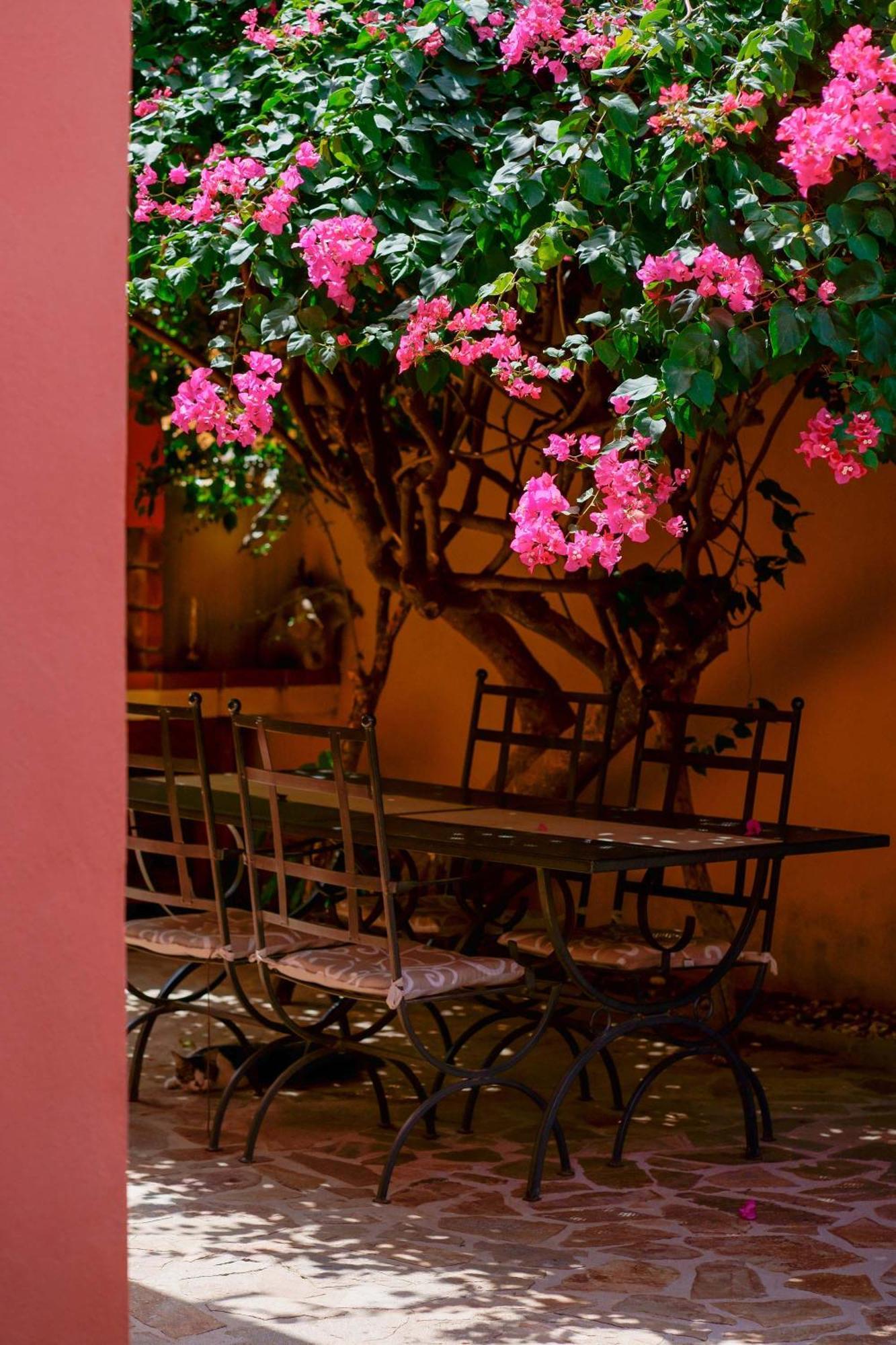 Il Piccolo Giardino Rooms & Breakfast Вилласимиус Экстерьер фото