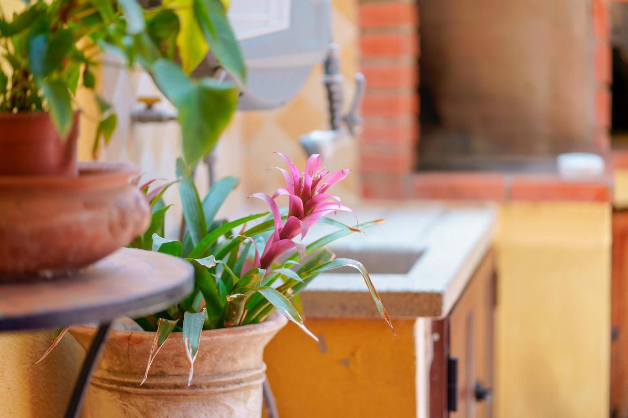 Il Piccolo Giardino Rooms & Breakfast Вилласимиус Экстерьер фото